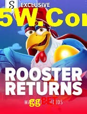 Crash Games Statistics ggbet